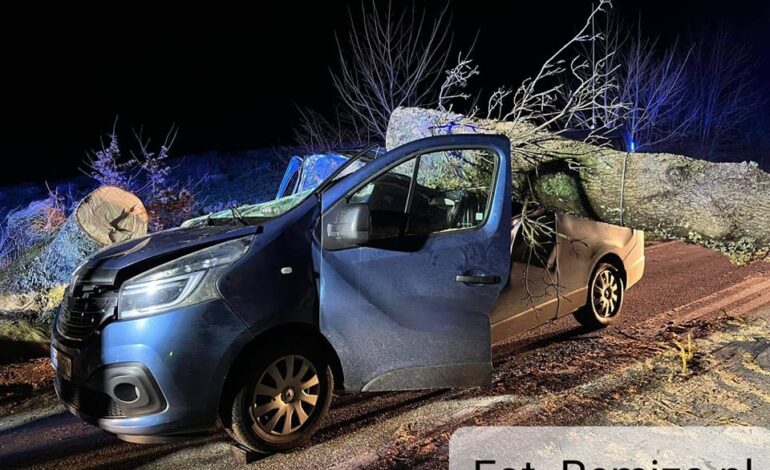  Tłuczewo: na jadący samochód spadło drzewo, zginęła osoba. Ponad 1000 interwencji strażaków na Pomorzu