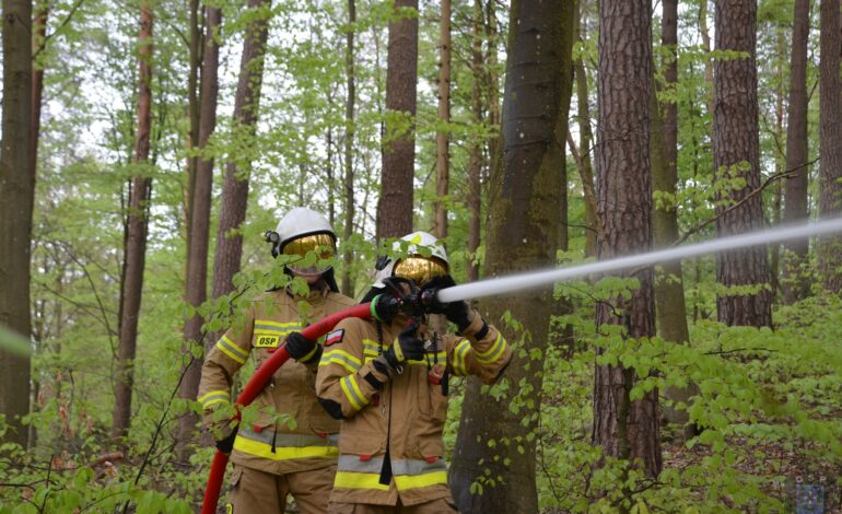  Jak gasić pożary łąk i lasów? Tak ćwiczyli wejherowscy strażacy [ZDJĘCIA]