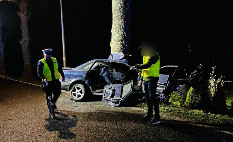 Wypadek pod Wejherowem. Audi uderzyło w drzewo, kierowca ciężko ranny [ZDJĘCIA]